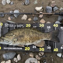 スモールマウスバス