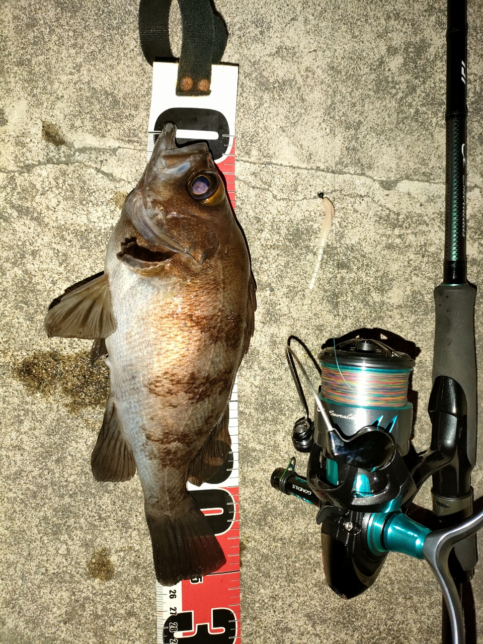 DAIWA 16メバリング X 78L-Sの最安値・インプレ・釣果 | 本音の