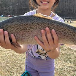 レインボートラウト