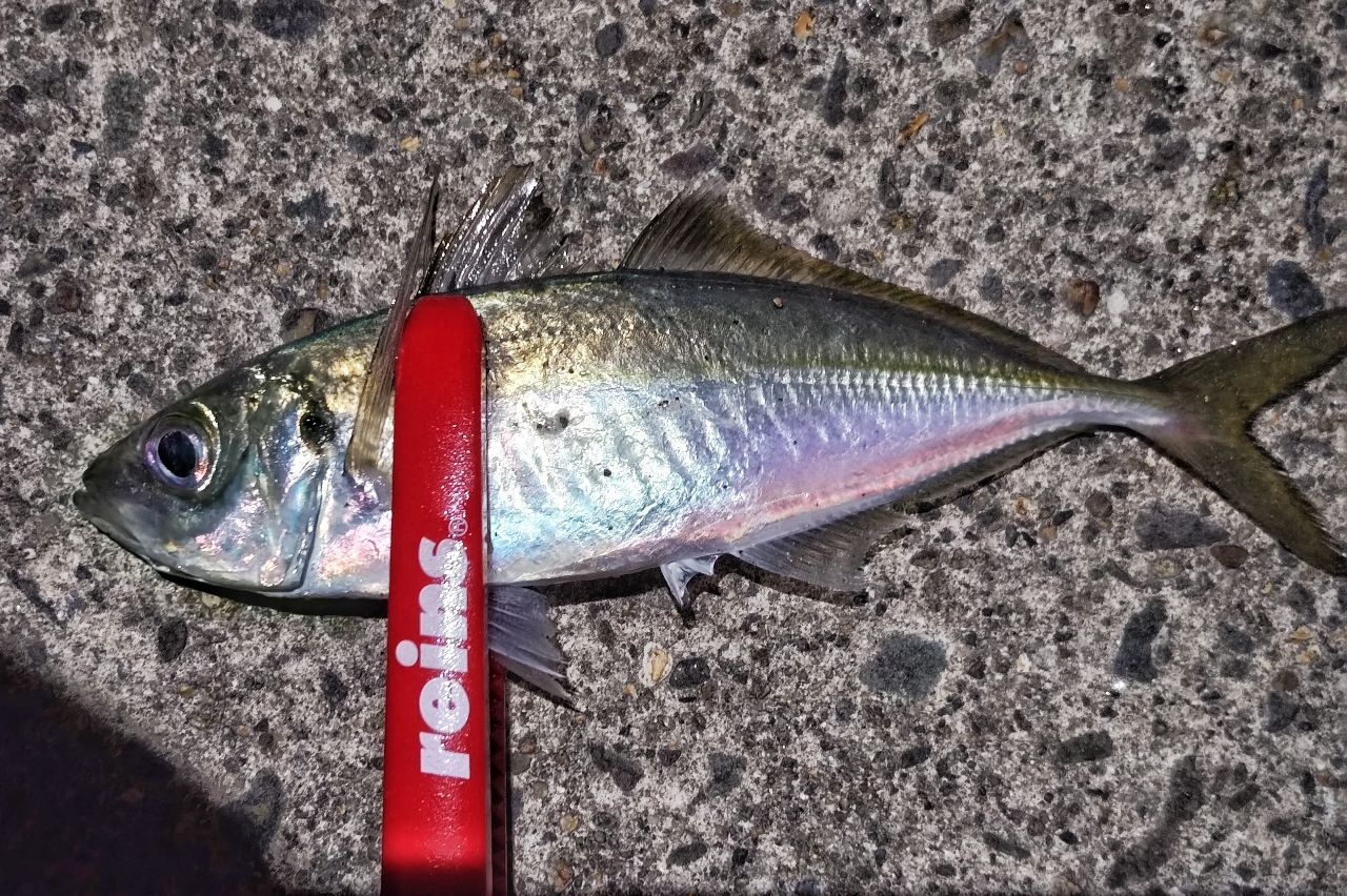 シマノ　17ソアレci4+アジング　S408ULS シマノ(SHIMANO) ソアレ CI4+ アジング S608ULS 379320