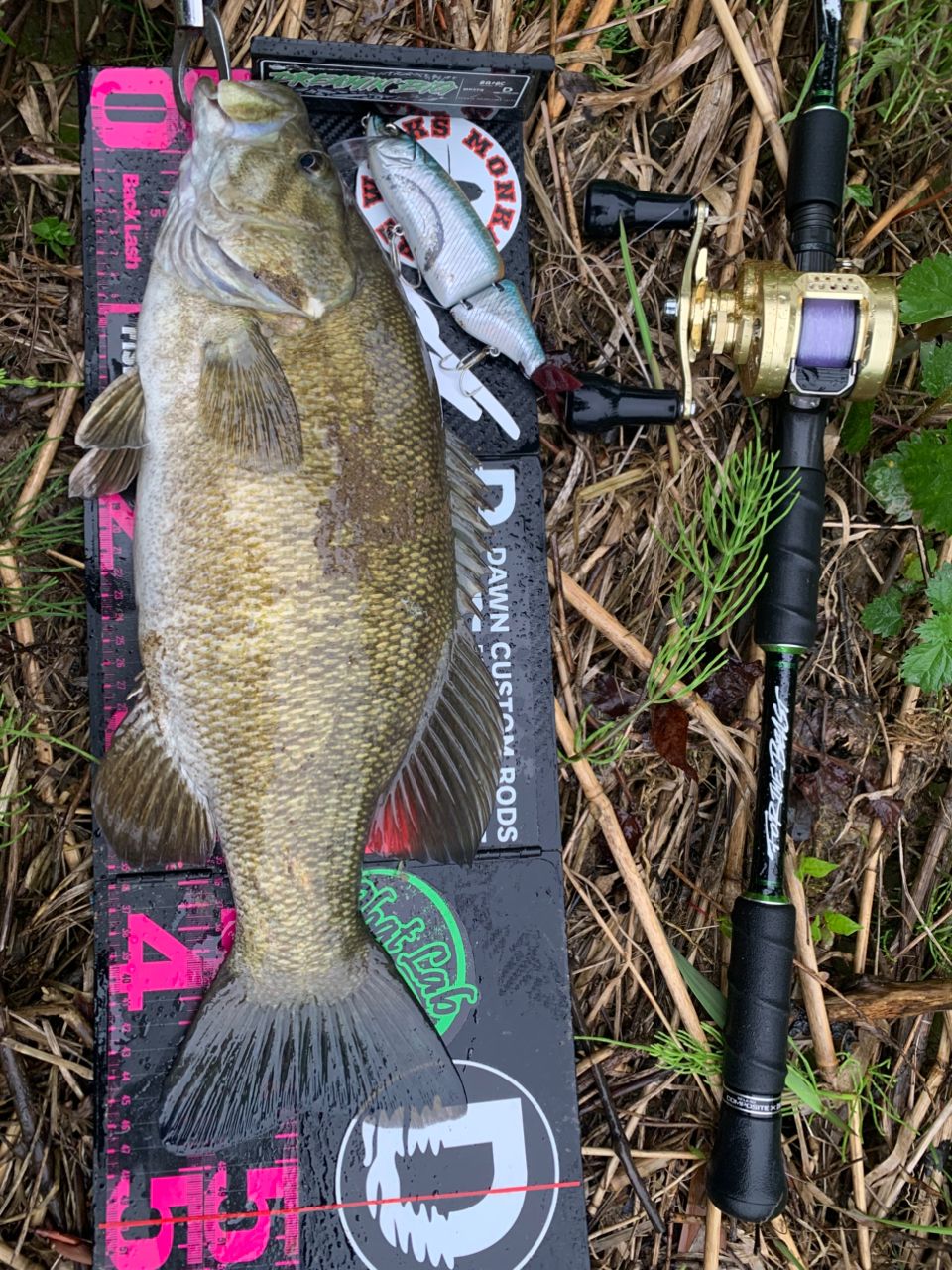 スモールマウスバス