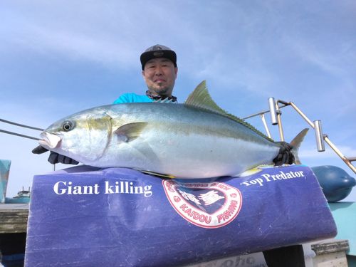 ヒラマサの釣果