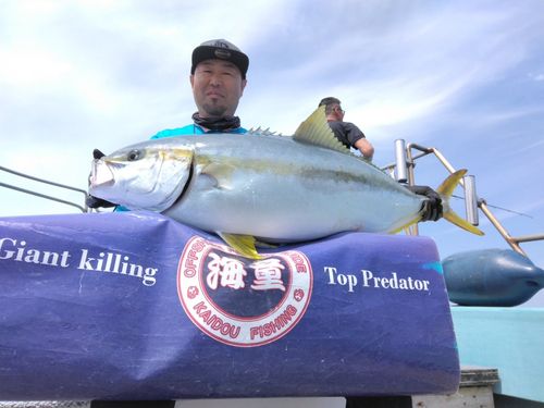 ヒラマサの釣果