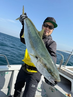 ヒラマサの釣果