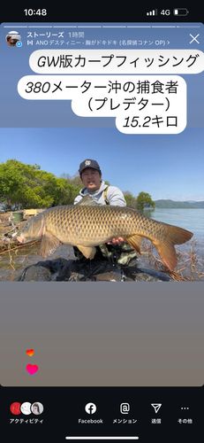 コイの釣果