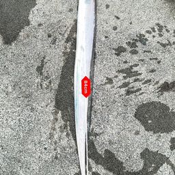 タチウオ