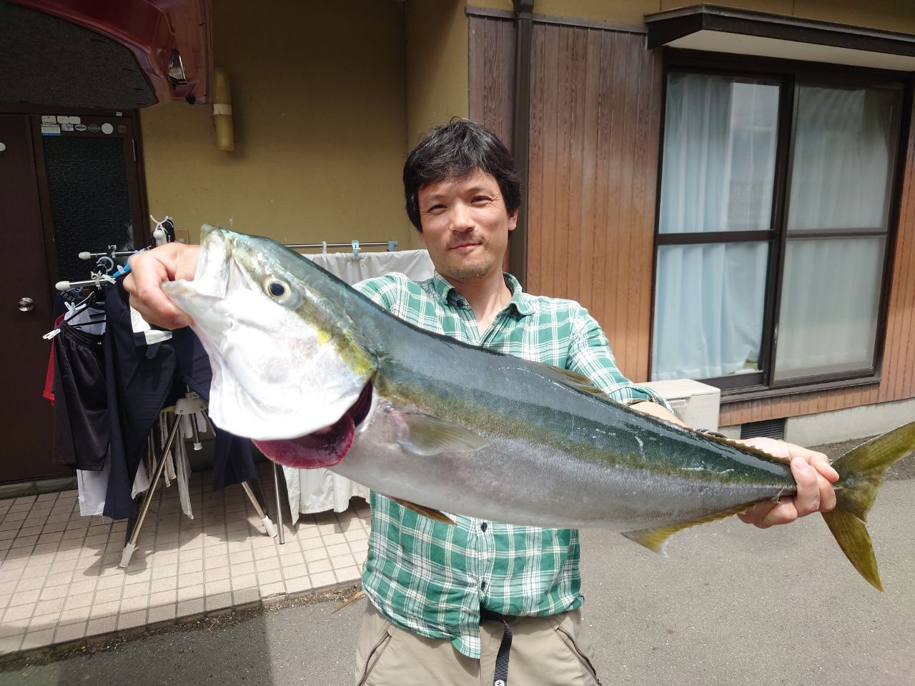 ブリ