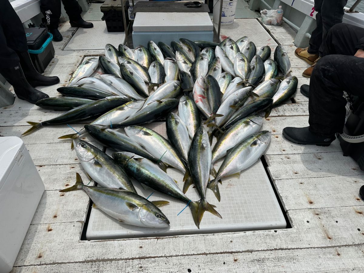 Guest35722682さんの釣果 1枚目の画像