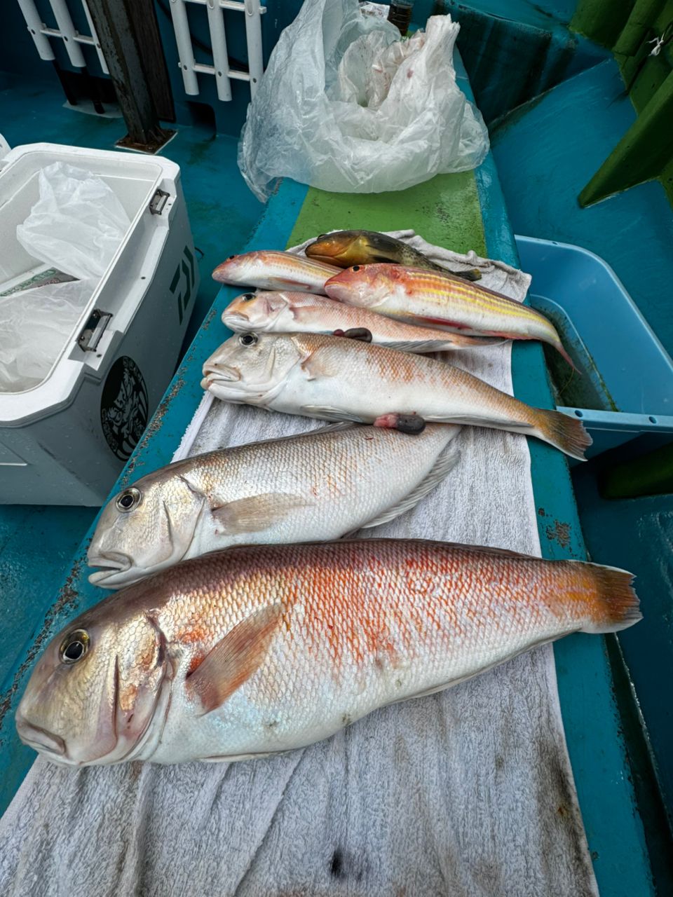 清和丸さんの釣果 2枚目の画像