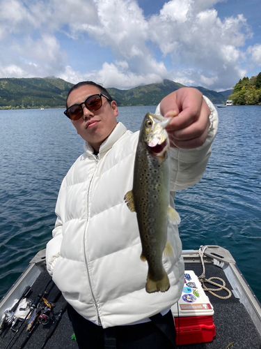 ブラウントラウトの釣果