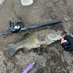 スモールマウスバス