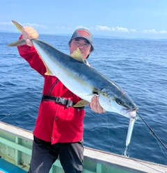 ヒラマサの釣果