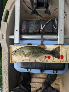 釣果