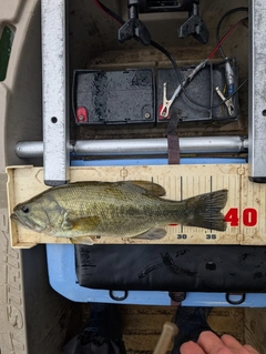 釣果