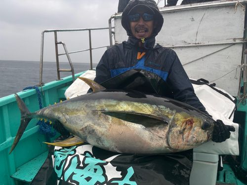 キハダマグロの釣果