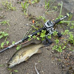 スモールマウスバス