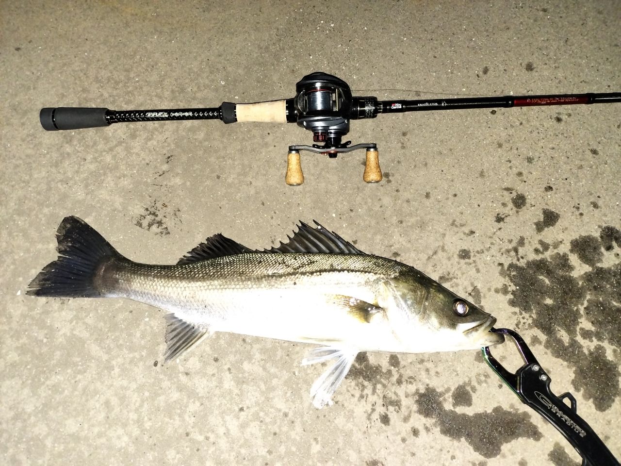 AbuGarcia エラディケーター ロックスイーパー ERSC-77ML-BFの最
