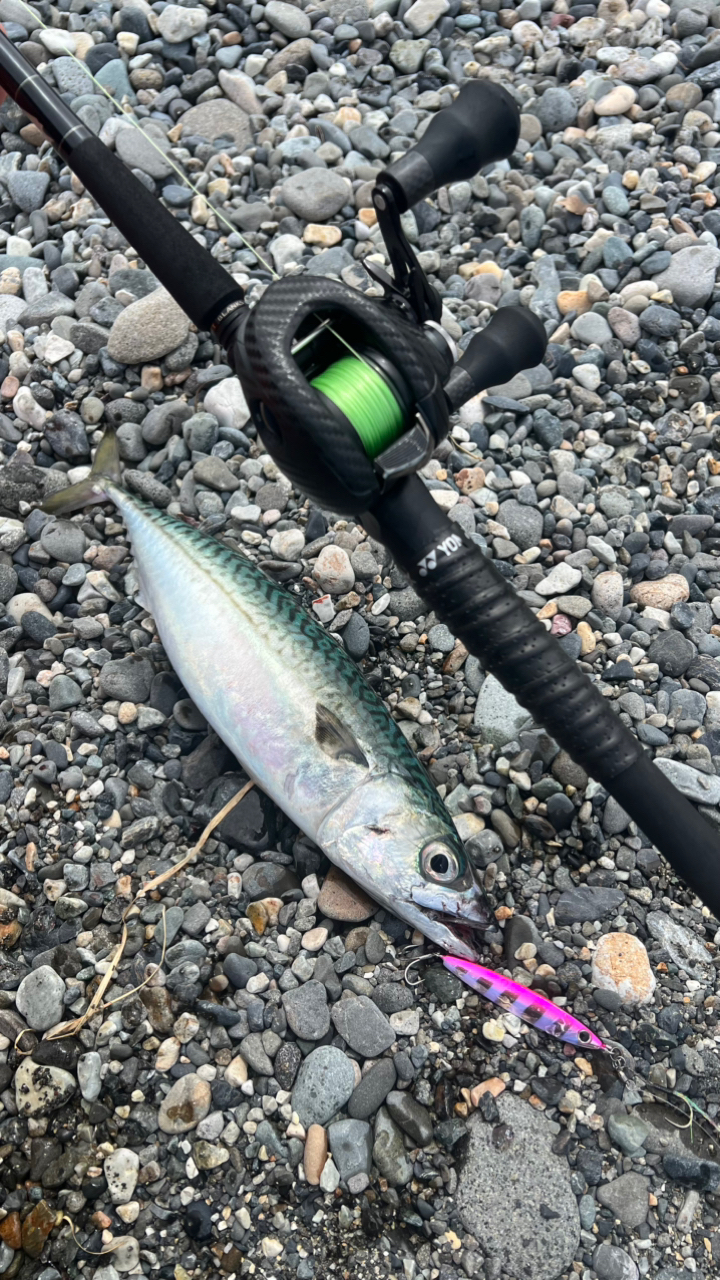 楽天市場】【中古】SHIMANO/シマノ 22エクスセンスDC XG