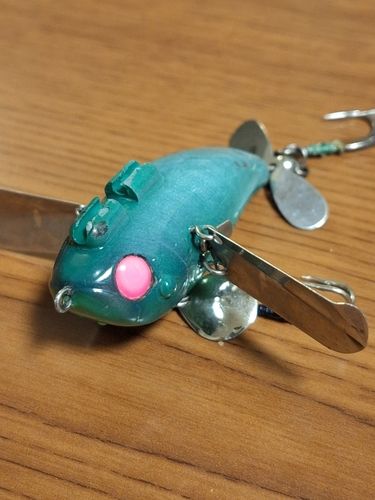 マナマズの釣果