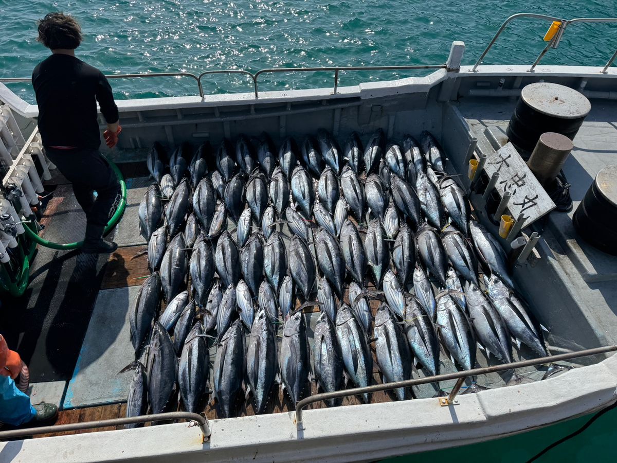 weed_ryo126さんの釣果 3枚目の画像