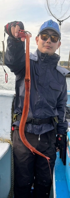 アカヤガラの釣果