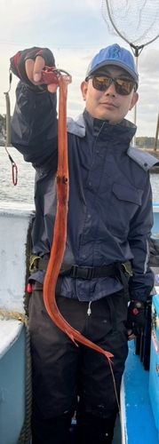 アカヤガラの釣果