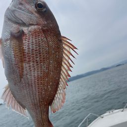 タイ
