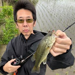 ブラックバス