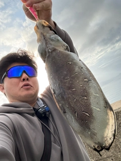 カミナリイカの釣果