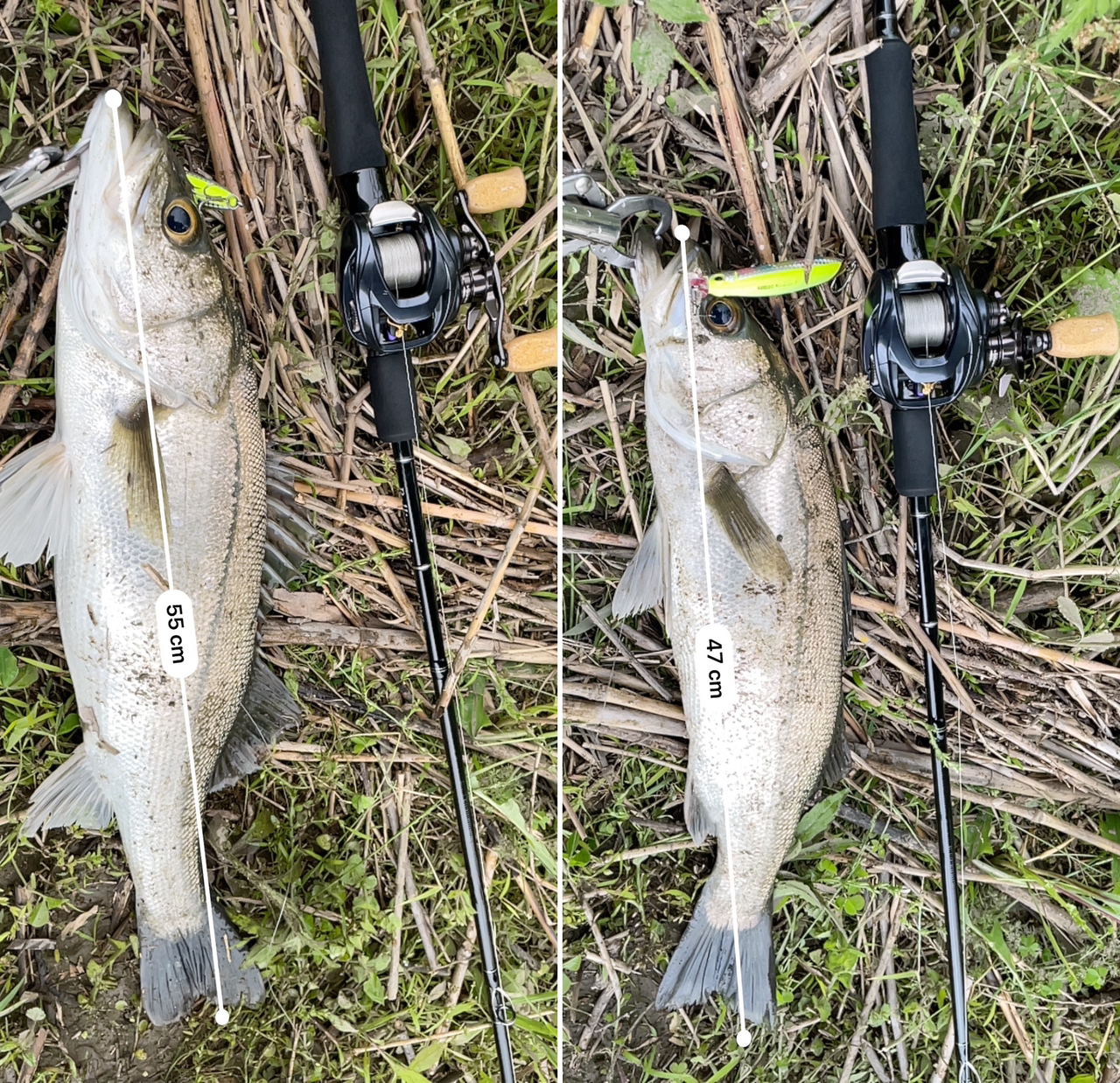 Ballistick Bait 810ML RC NANO（2021年生産終了） | YAMAGA Blanks