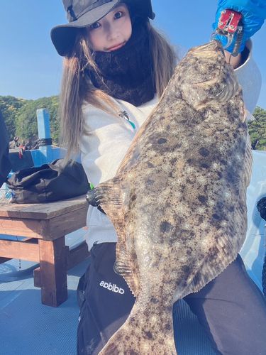 ヒラメの釣果