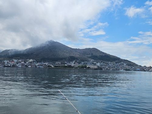 ハゼの釣果