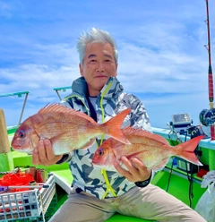 マダイの釣果