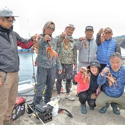 マダコ