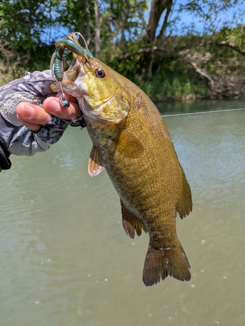 スモールマウスバス