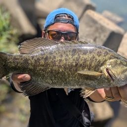 スモールマウスバス