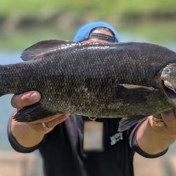 スモールマウスバス