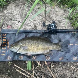 スモールマウスバス