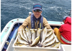 イサキの釣果