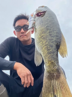 スモールマウスバスの釣果