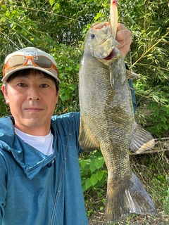 スモールマウスバスの釣果