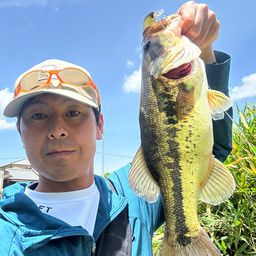 ラージマウスバス