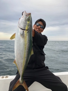 イナダの釣果