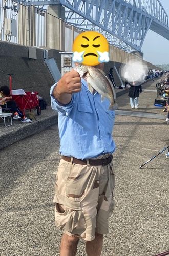 イシモチの釣果
