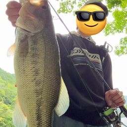 ブラックバス
