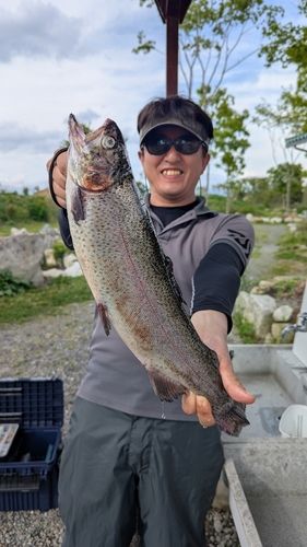ニジマスの釣果