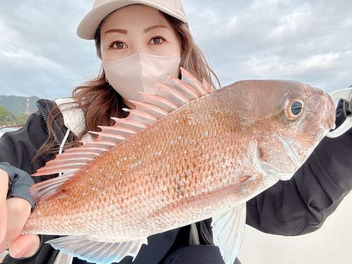 タイの釣果