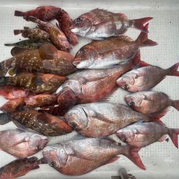 タイ