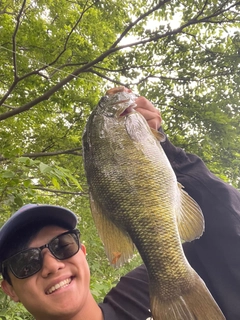 スモールマウスバスの釣果