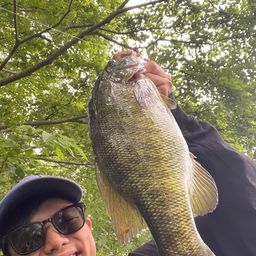 スモールマウスバス